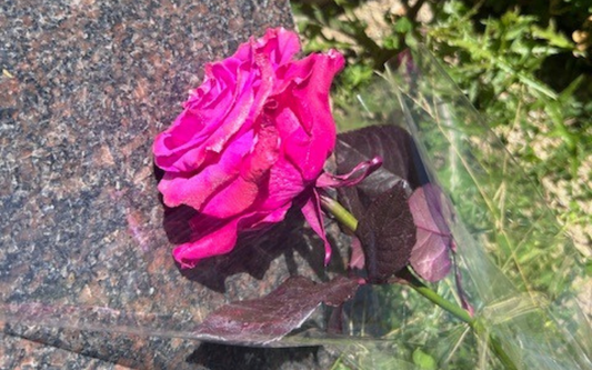 How Can You Honor and Heal From Grief?